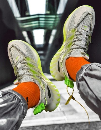Baskets Ray