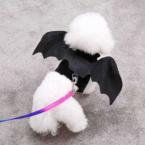 deguisement-chien-crochet
