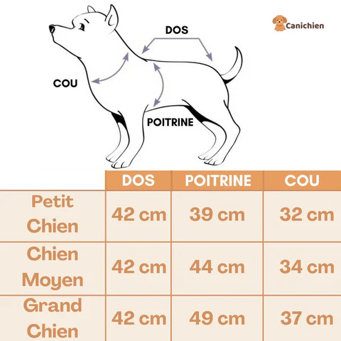 deguisement-chien-chauve-souris-taille