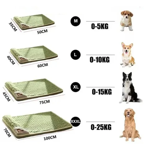 tapis-chien-taille
