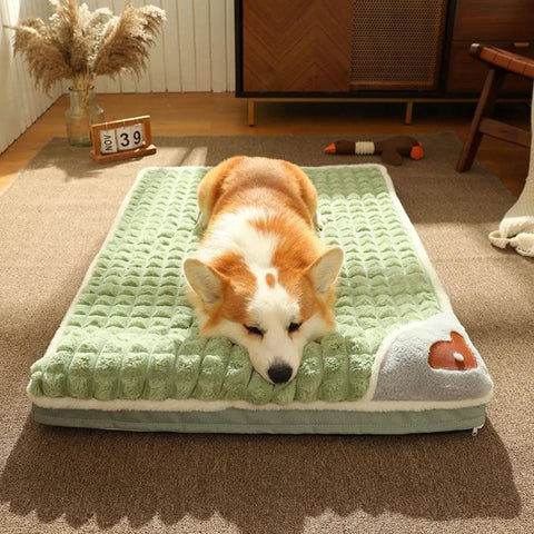 tapis-chien-anti-stress