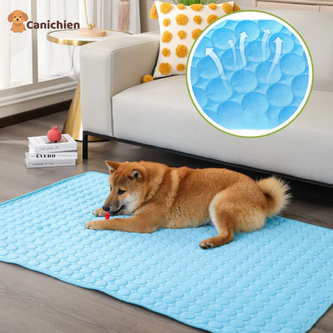 tapis-rafraichissant-chien-solution