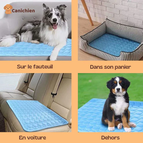 tapis-rafraichissant-chien-multifonction