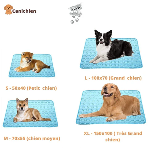 tapis-rafraichissant-chien-taille